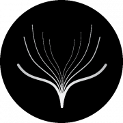 Animation 2D/3D